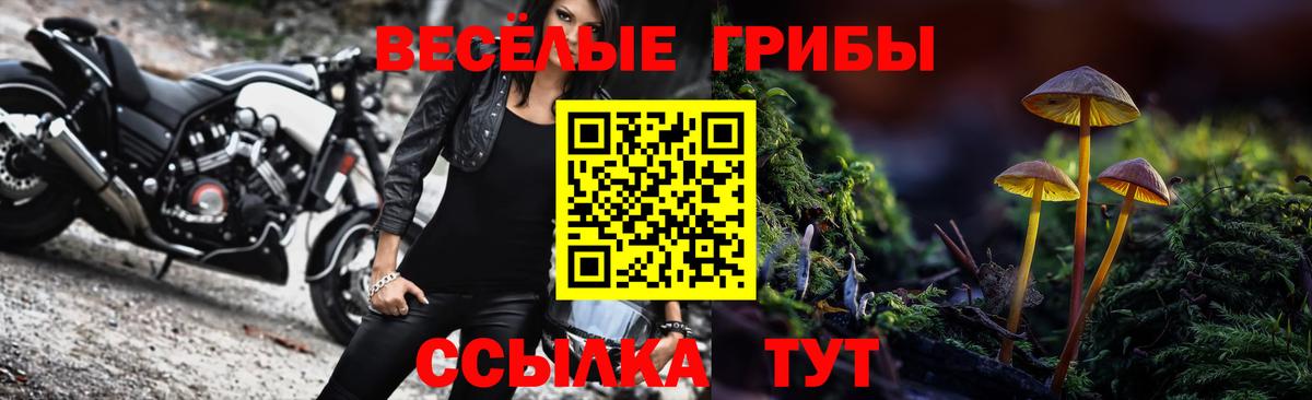 Псилоцибиновые грибы мухоморы  Галлюциногенные грибы Psilocybe  Вход с VPN  Нижний Тагил 